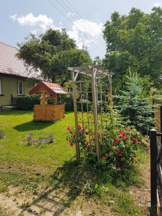 Radzieje Oliwkowe Jerzykowo -Klimatyzacja 빌라 외부 사진